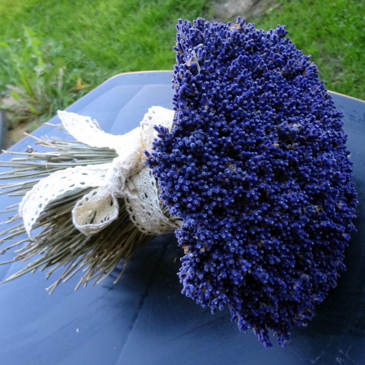 Kytice - Levandulová