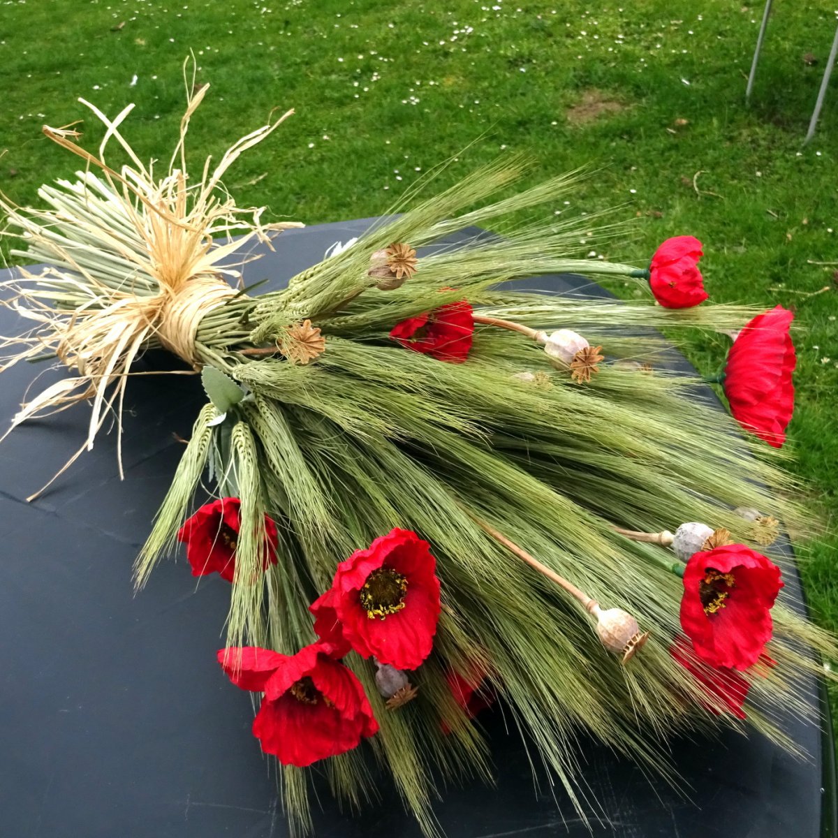 Kytice - Vlčí máky 3