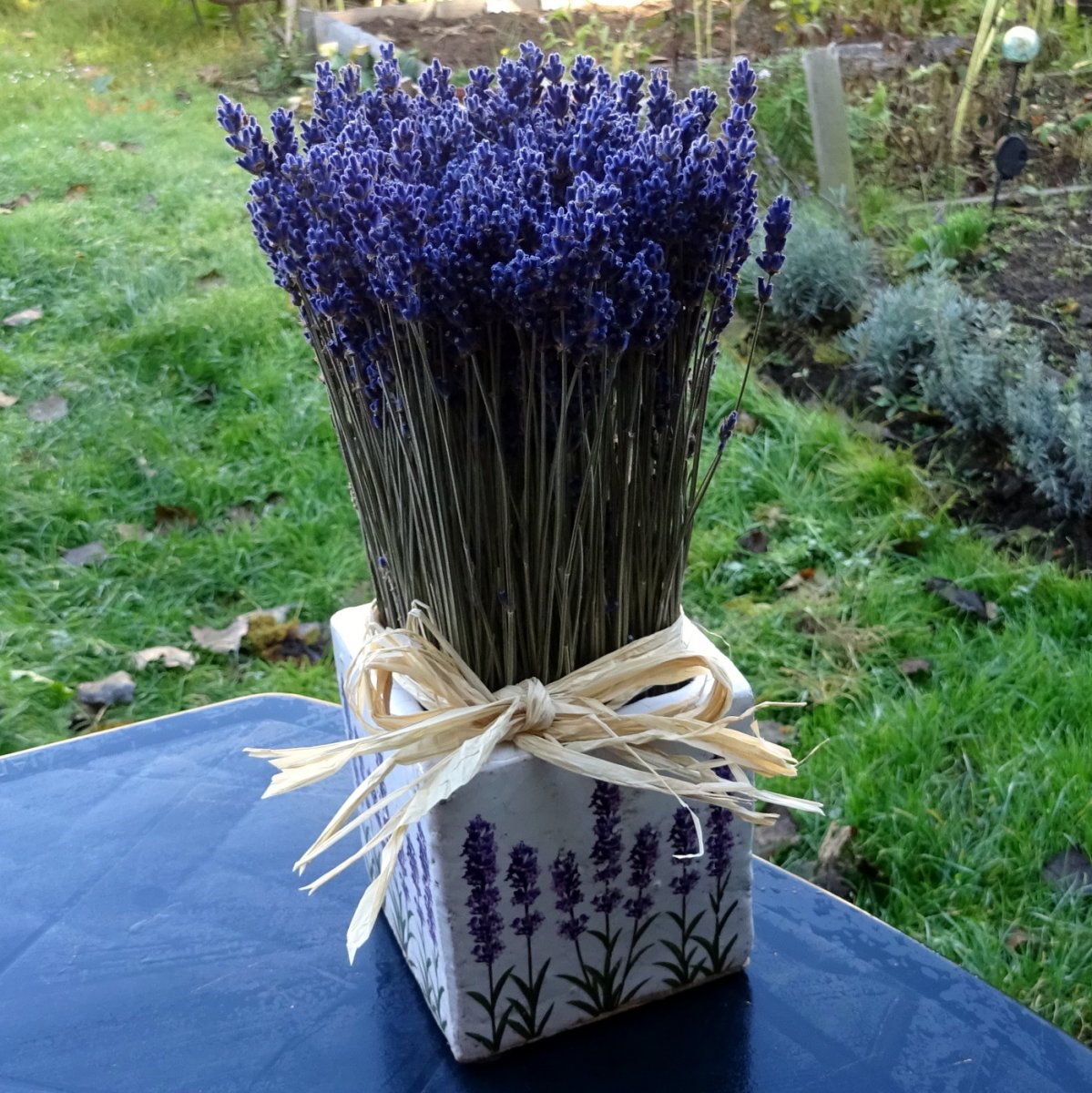 Levandule v keramice