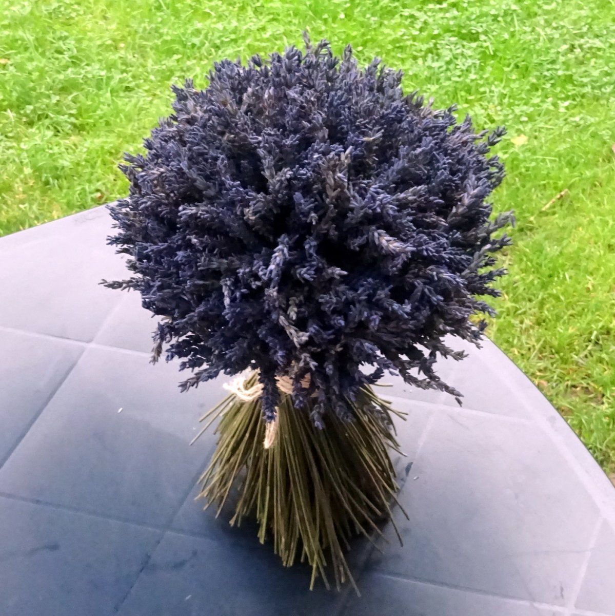 Kytice - Velká, levandulová...