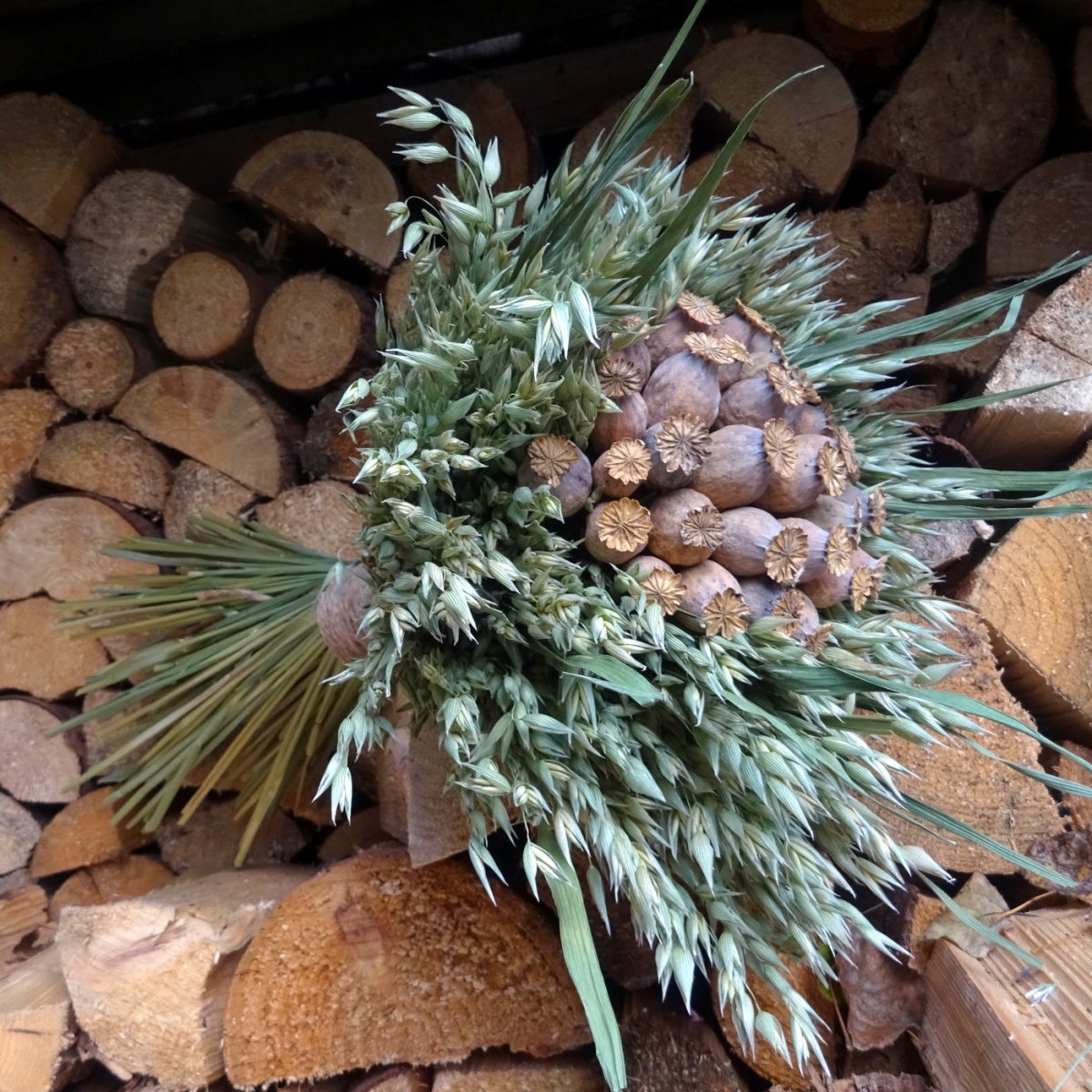 Kytice - Makovice v ovsu...