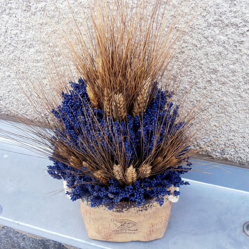 Ječmen s levandulí