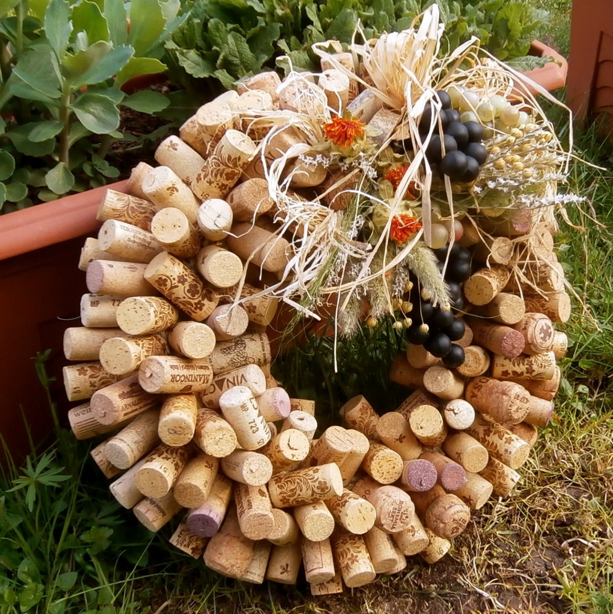 Věnec - Z vinných sklípků