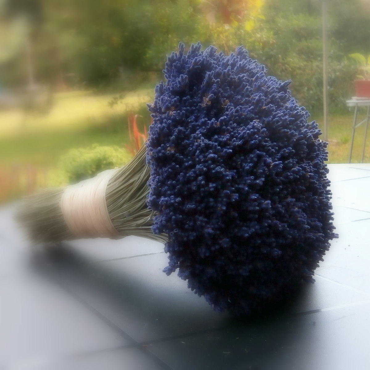 Kytice - Moje levandulová