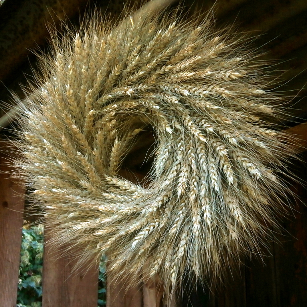 Věnec - Pšeničný