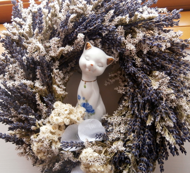 Levandulové sny kočičí...