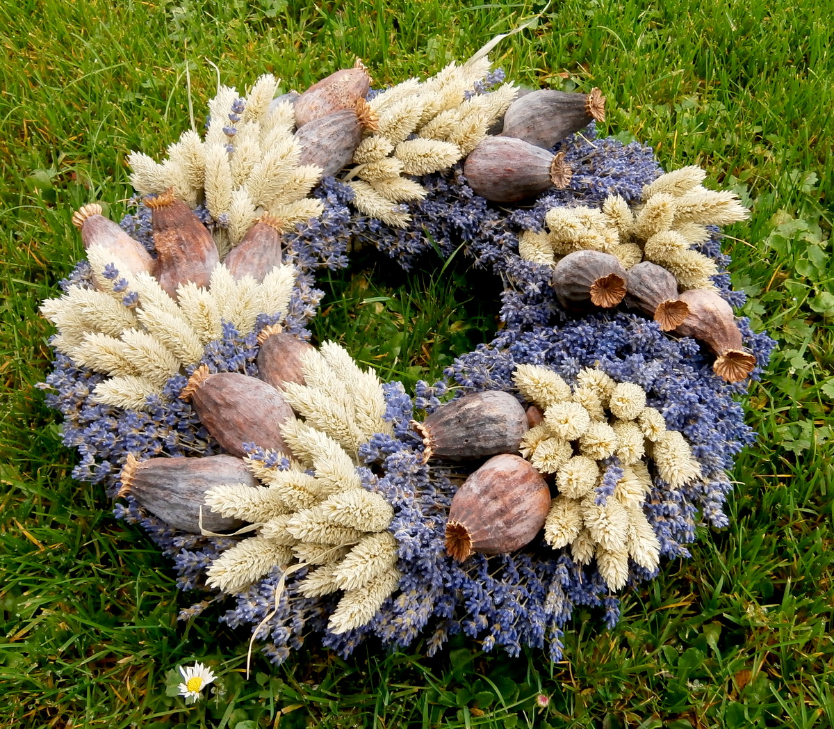 Levandule, makovice...