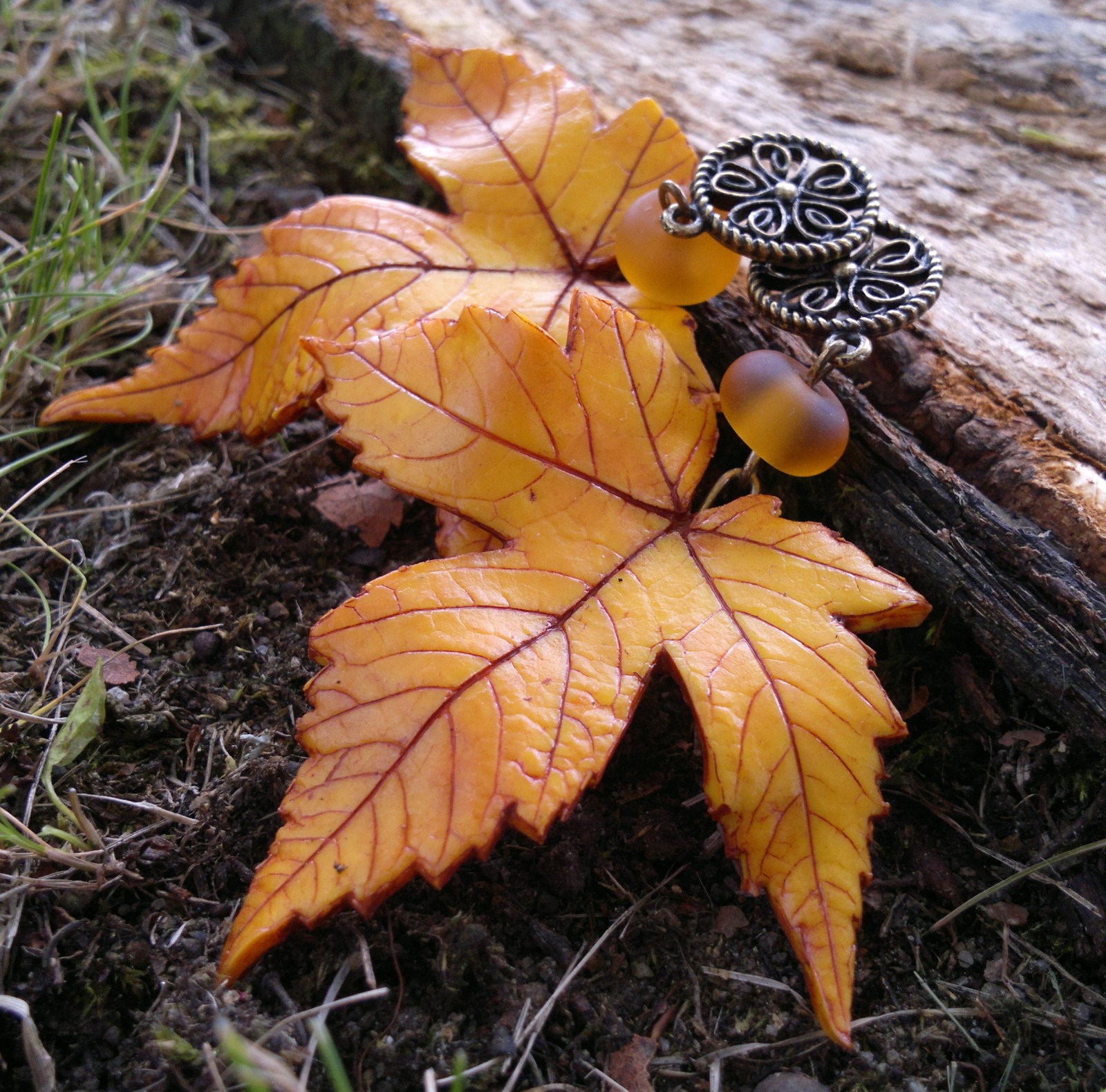 Javůrky podzimní žluté