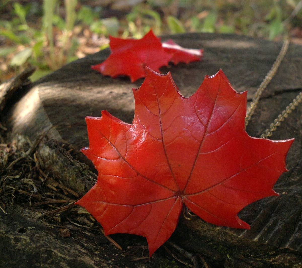 Javůrky...souprava červená