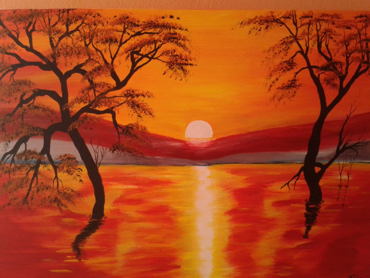 Stromy při východu slunce