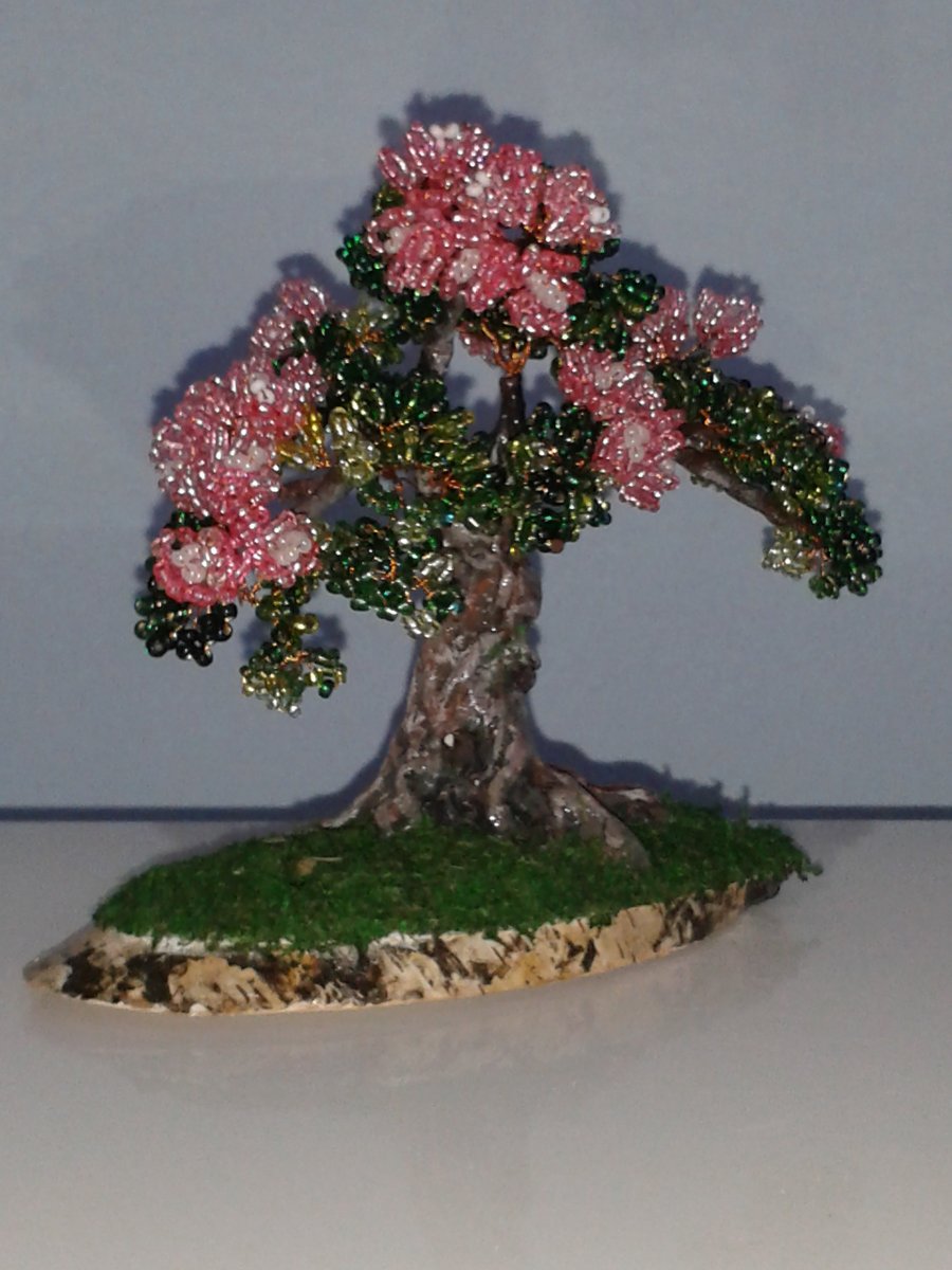 Růžová bonsaj - sleva