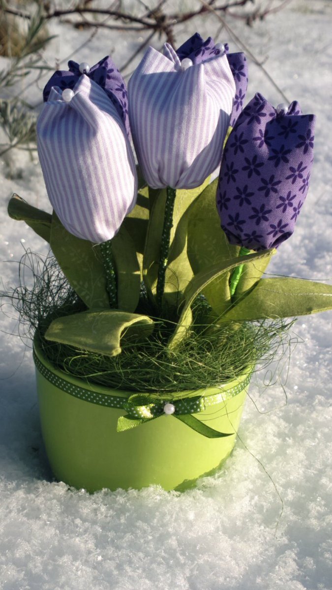 Tulipánky, které neuvadnou