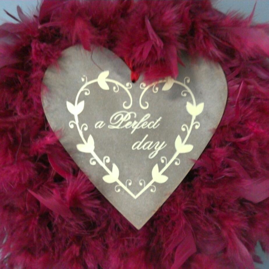 Peříčkový věneček-Carmen