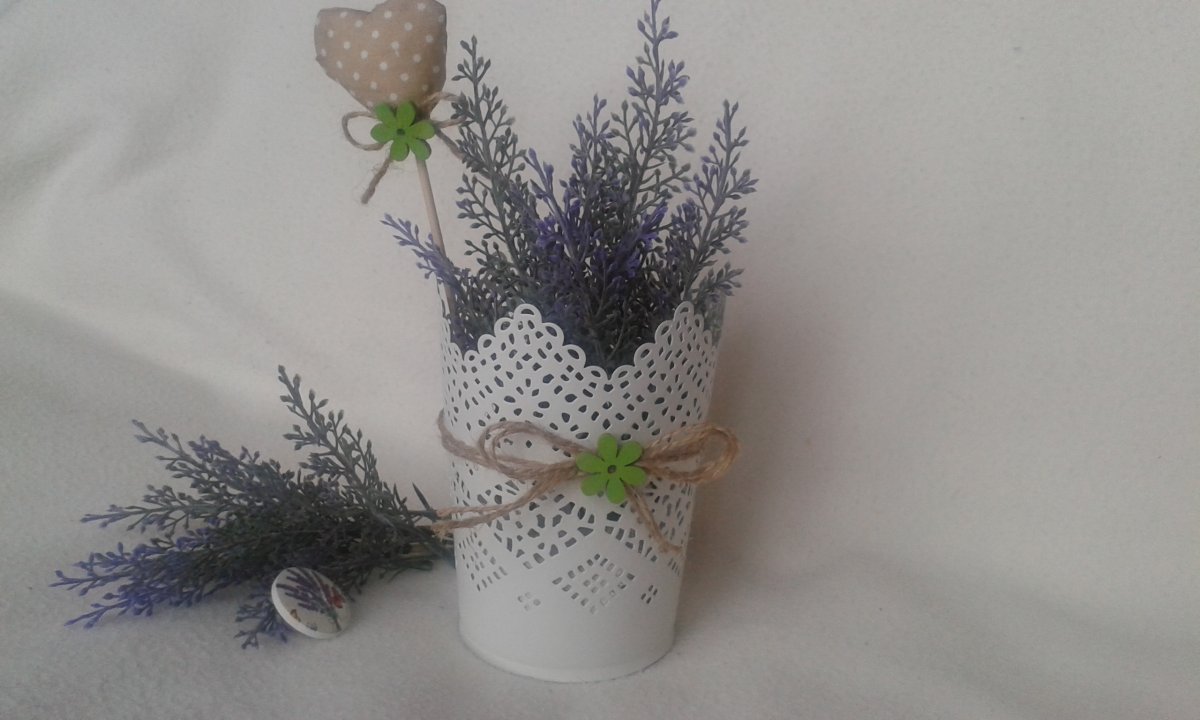 Levandule v bílé krajce