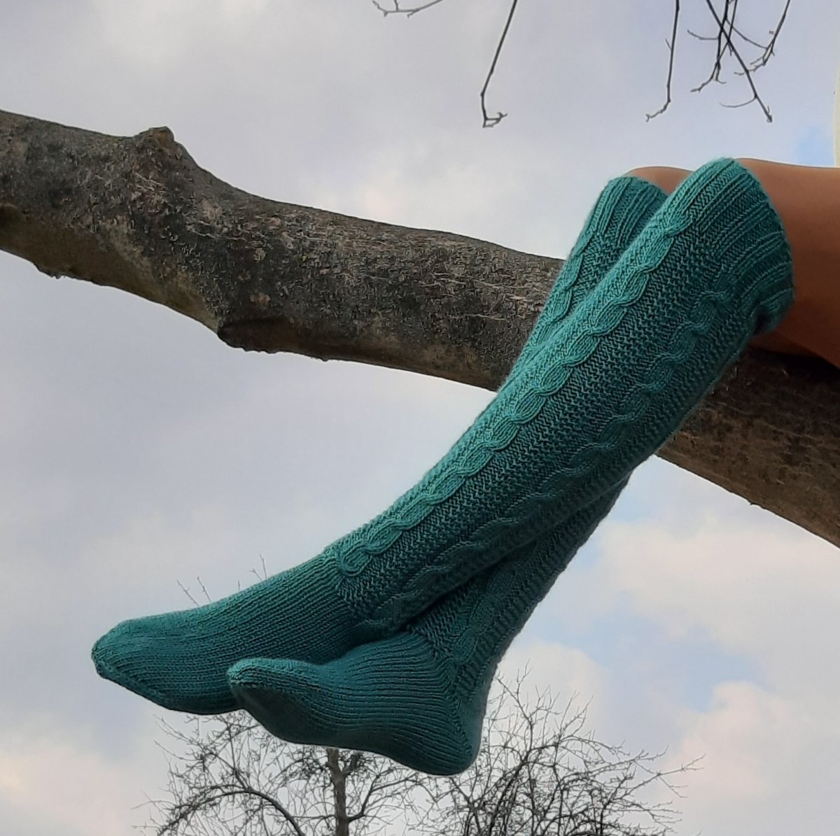 Lesním tichem, zeleným mechem...