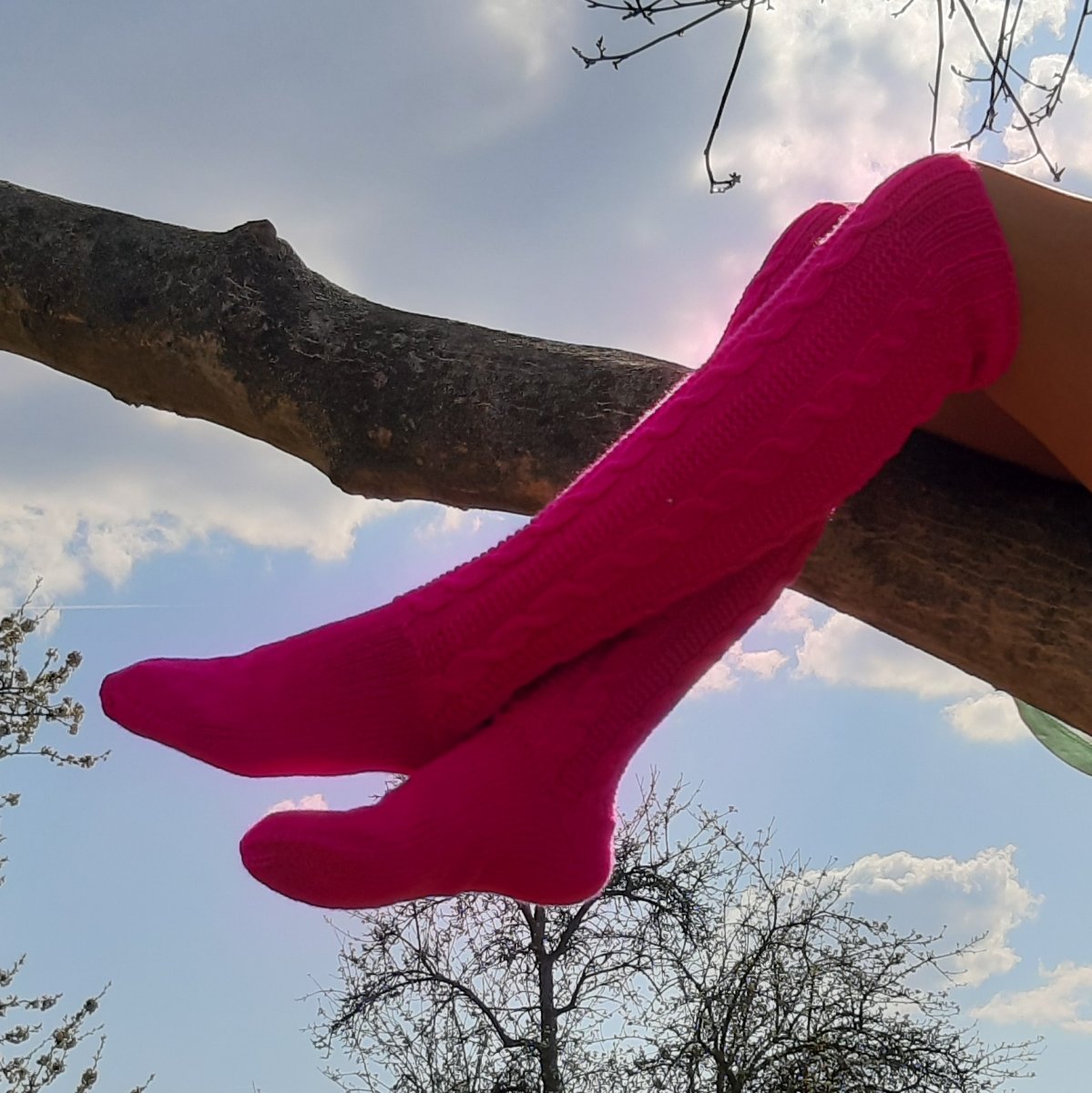 V záplavě fuchsií ukryté