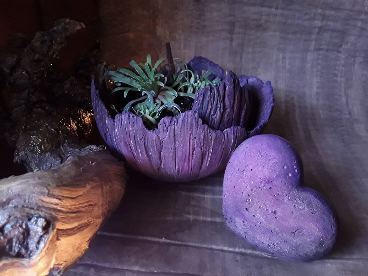 Beton-skořepiny-košík " Osázené "