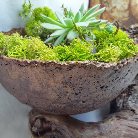 Beton-miska k osázení "Šelak+vosk"