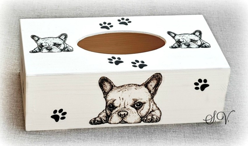 KRABIČKA-BOX NA KAPESNÍKY