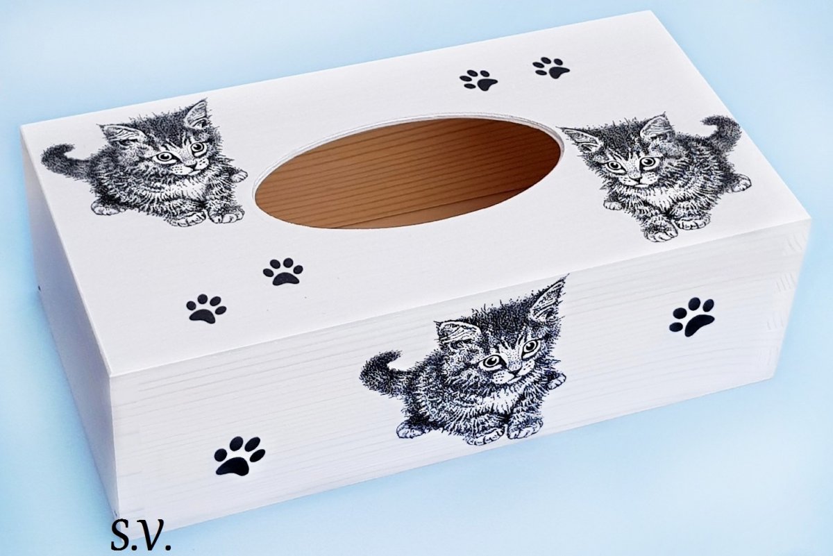 KRABIČKA-BOX NA KAPESNÍKY