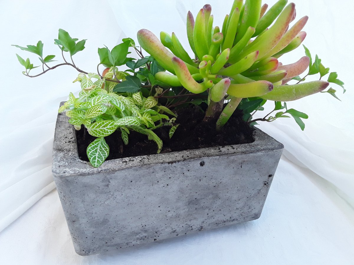 Betonová miska k osázení 