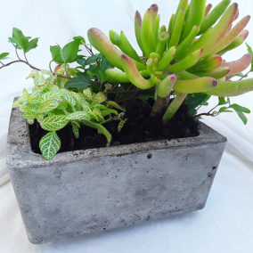 Betonová miska k osázení "Čtverec"