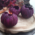 Betonové skořepiny "Vínová+magenta"