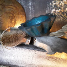 Mistička dekorativní-beton "Bábovička"