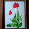 Červené tulipány