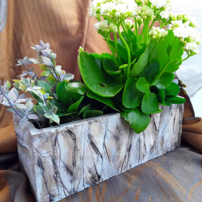 Betonový truhlík s dekorem