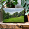 Obraz - Park Loučeň, 20x30cm