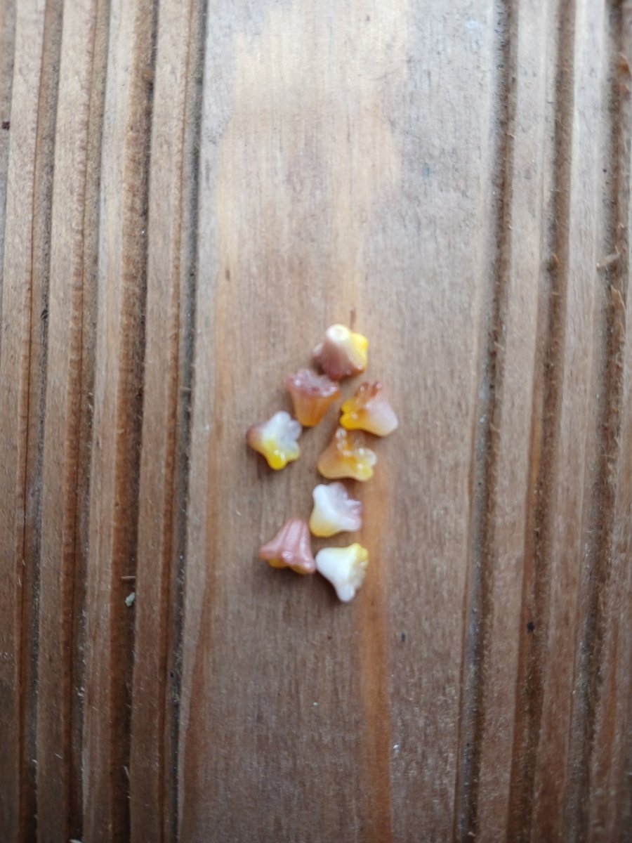 korálek mačkaný zvonek 5x6 mm žlutohnědý