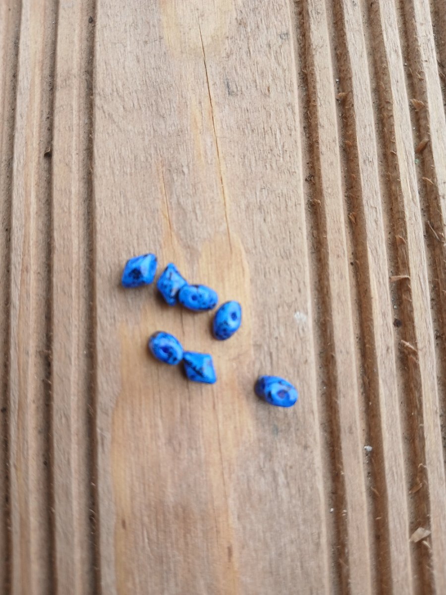 korálek mačkaný Vario modrý