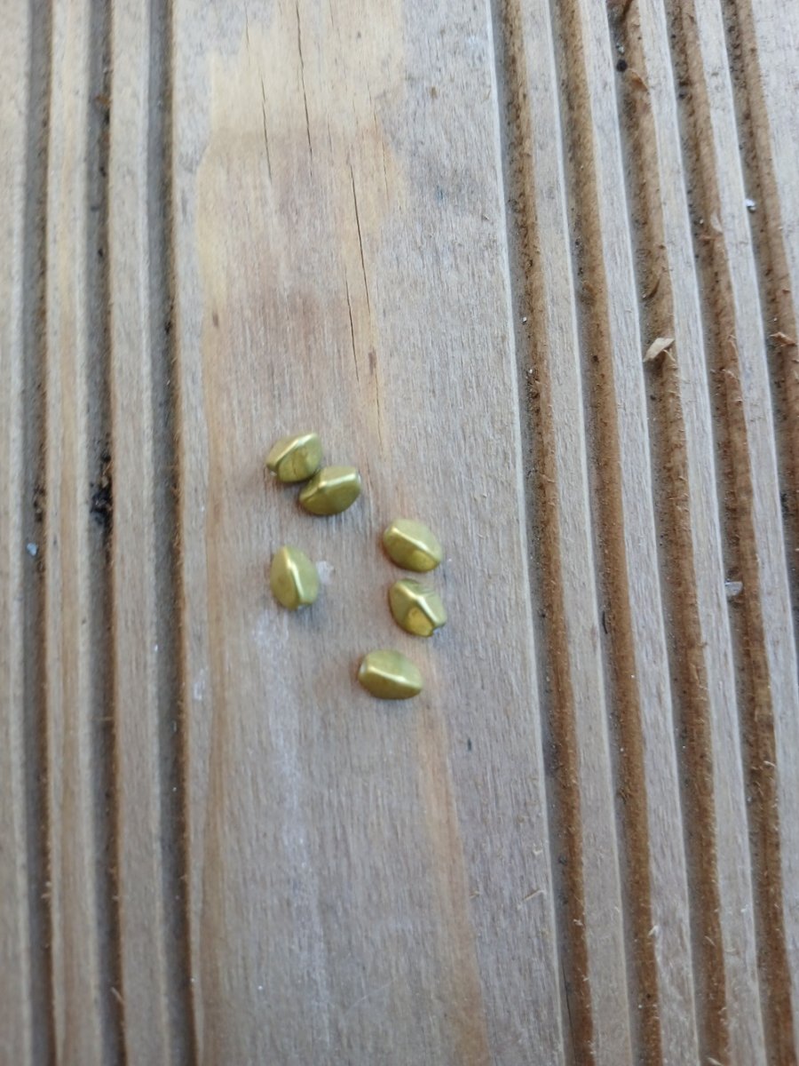 korálek mačkaný, pohanka 5x3 mm - zelená