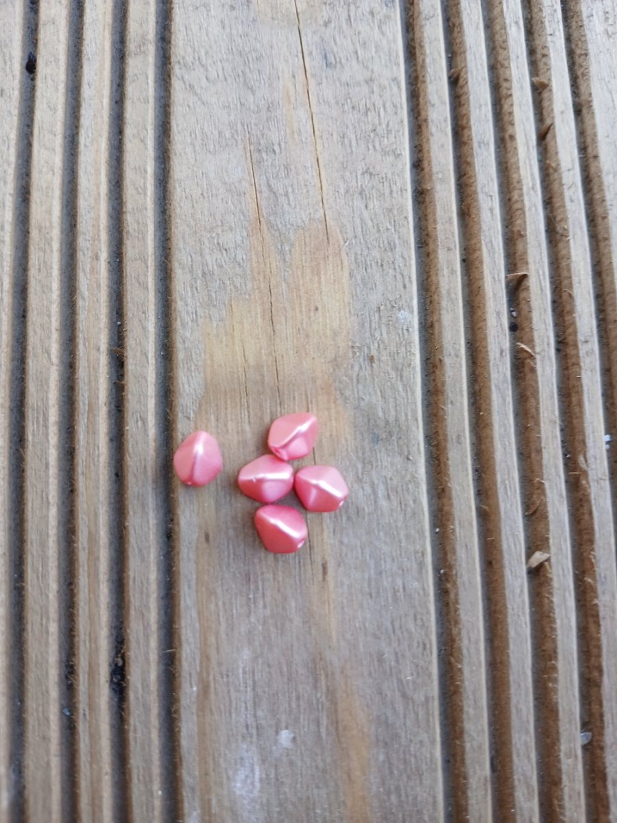 korálek mačkaný, pohanka 7 mm - růžová