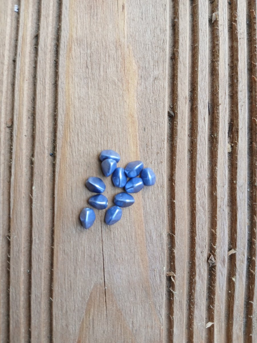 korálek mačkaný, pohanka 5x3 mm - modrá