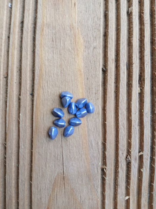 korálek mačkaný, pohanka 5x3 mm - modrá