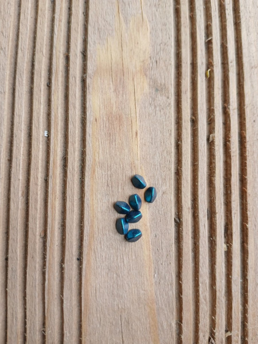 korálek mačkaný, pohanka 5x3 mm - tm. zelená