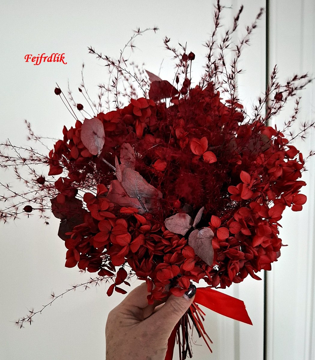 Valentýnská hortenzie.