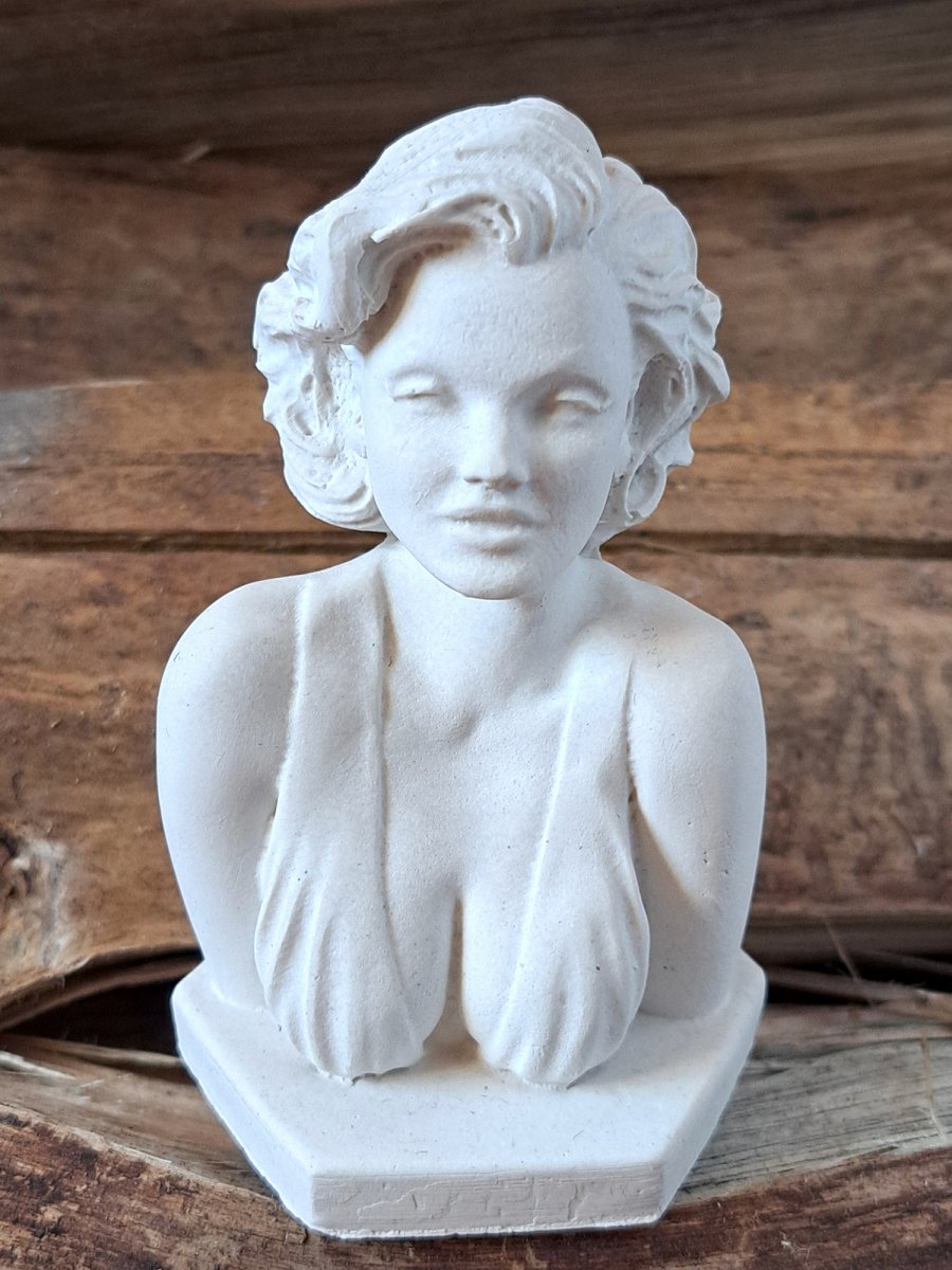 HOLLYWOODSKÁ MÚZA ŽENSKÁ IKONA 50.LET Marilyn Monroe