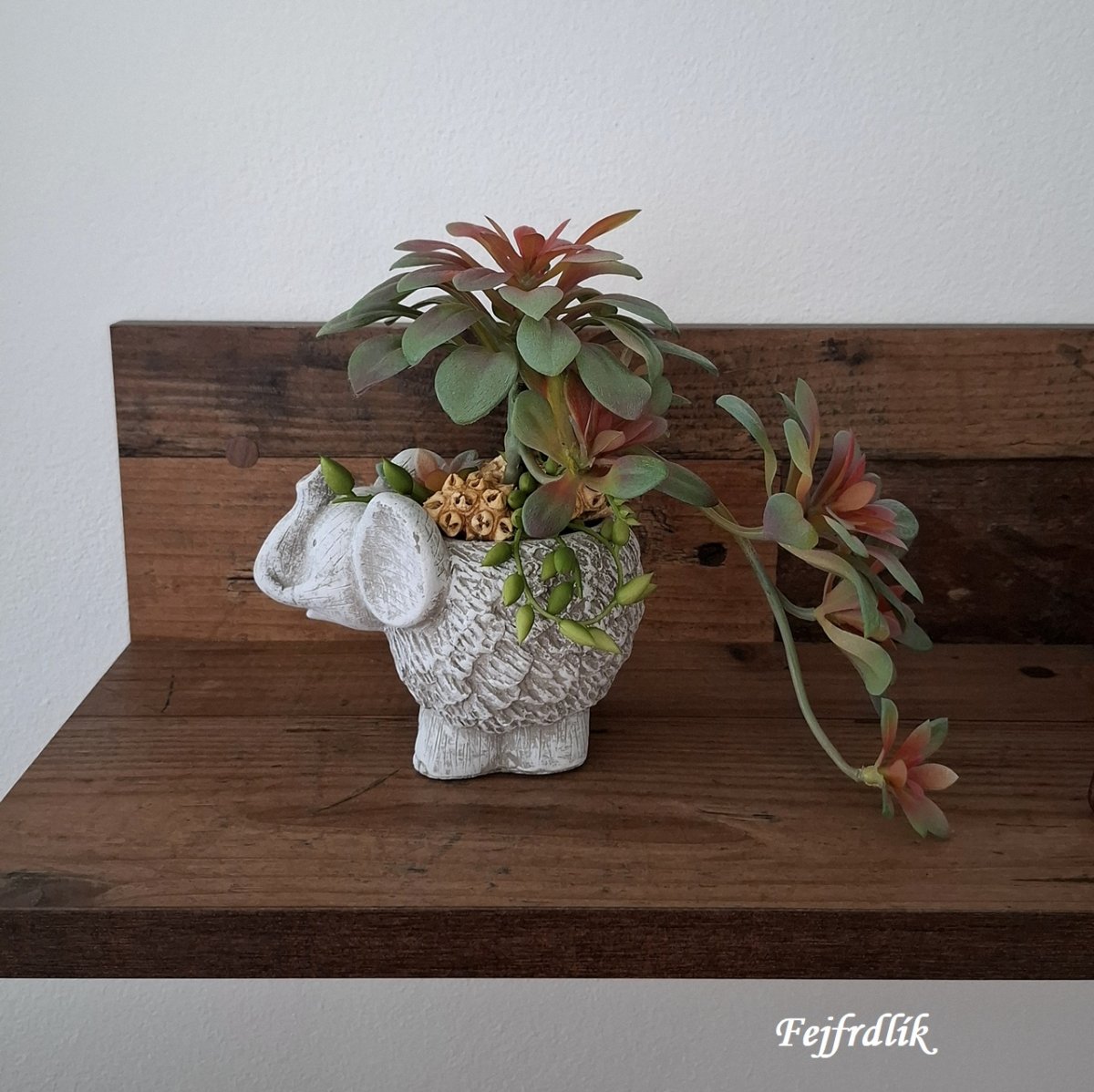 slůně se sukulenty :)