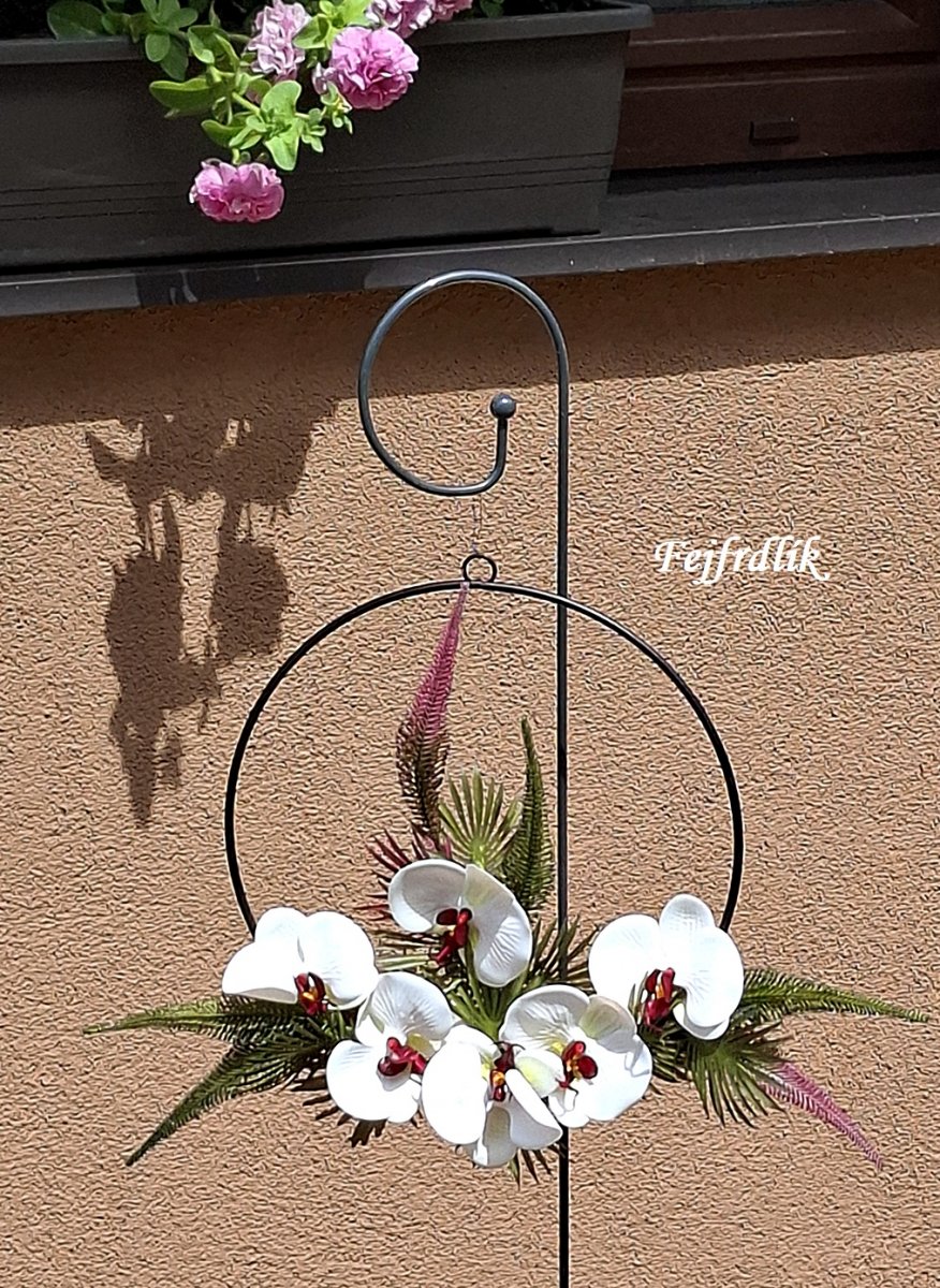 orchideje v kruhu..