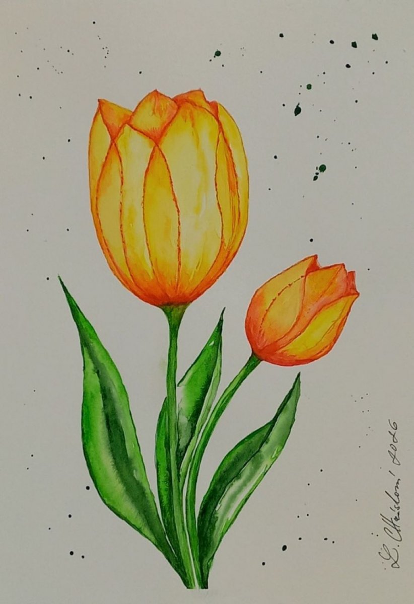 Obraz Dva žluté tulipány