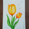 Obraz Dva žluté tulipány