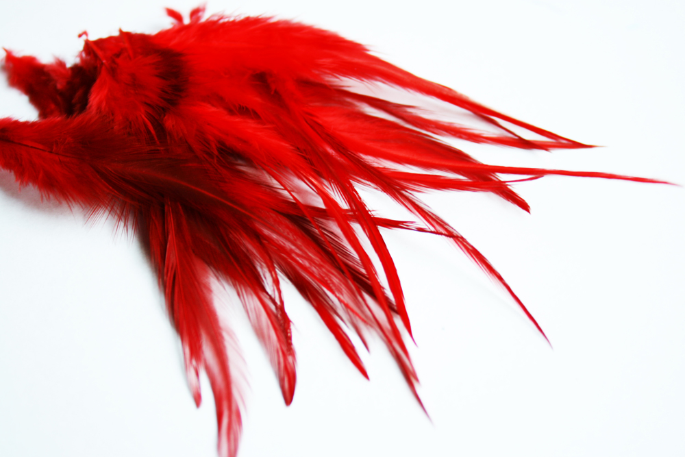 Kohoutí pírka ČERVENÁ