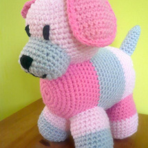 Lovely Puppy
