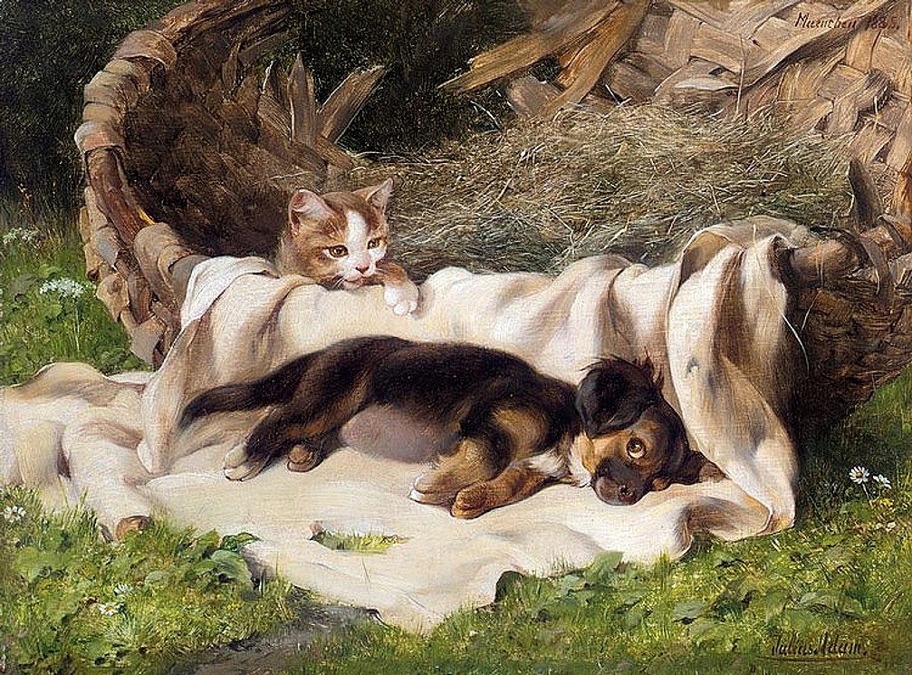 Bavlněný panel R2218