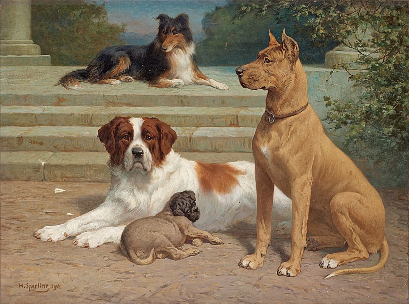 Bavlněná látka - panel R2279