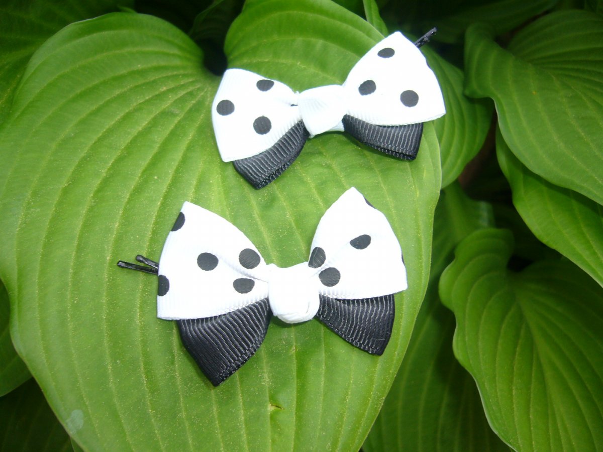 Sponka do vlasů - bíločerná (22_1)