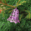 Vánoční ozdoba - zvoneček duhový fialový